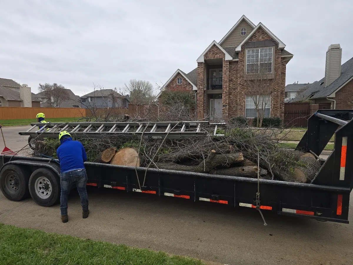 Expert Tree Fertilization with proper safety equipment in Bagley